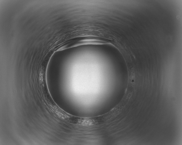 X0000086100282200703231443