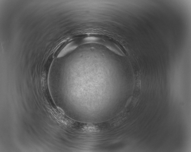 X0000086100283200703231443