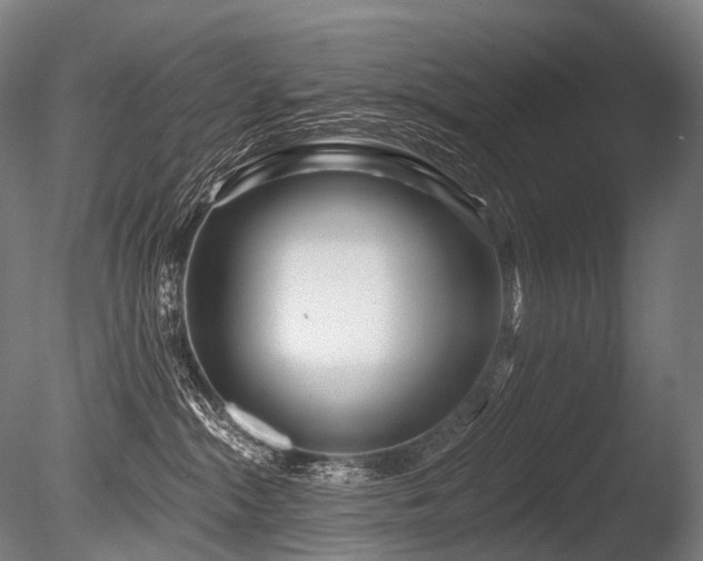 X0000086100284200703231443