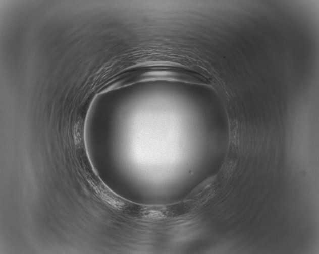 X0000086100285200703231443