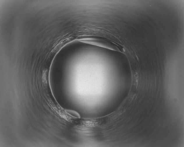 X0000086100286200703231443