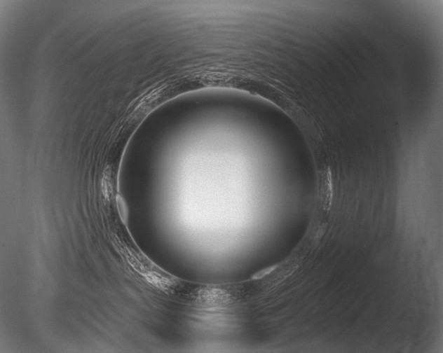 X0000086100287200703231443