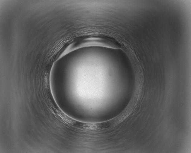 X0000086100288200703231443
