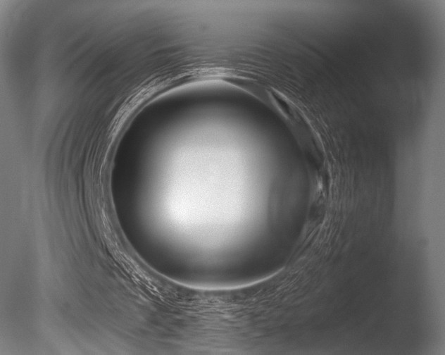 X0000086100289200703231442