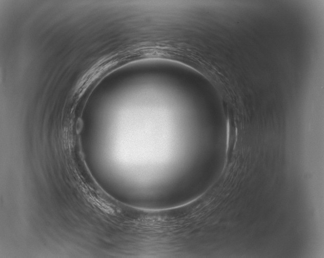 X0000086100291200703231442