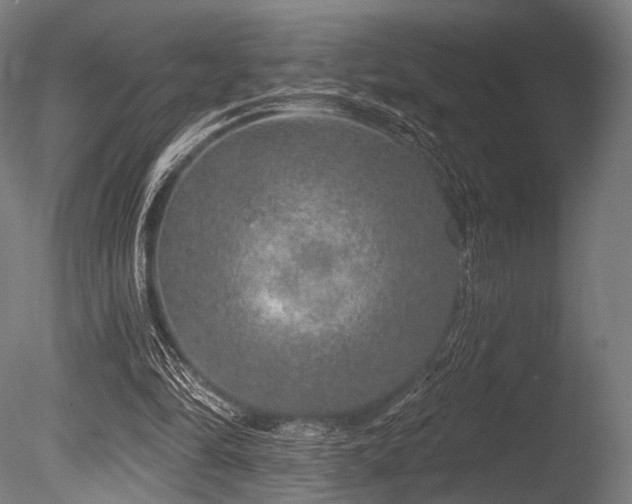 X0000086100294200703231442