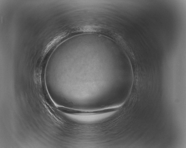 X0000086100299200703231442