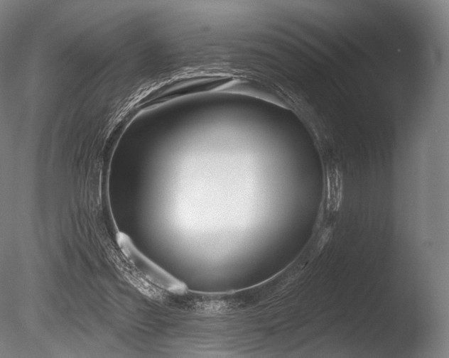 X0000086100301200703231442
