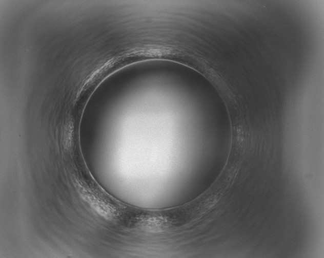 X0000086100304200703231442