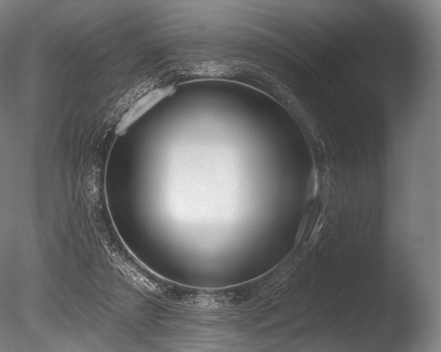 X0000086100305200703231442