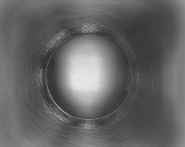 X0000086100308200703231442