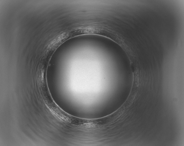 X0000086100310200703231442