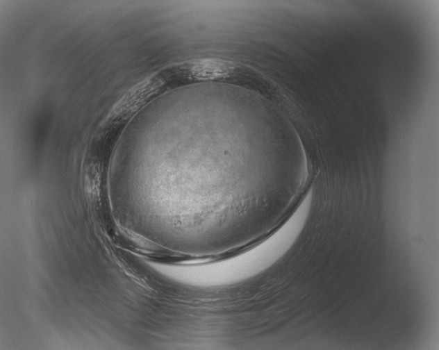 X0000086100315200703231442