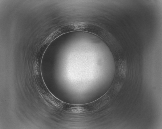 X0000086100316200703231442