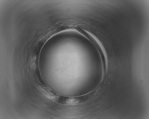 X0000086100319200703231441