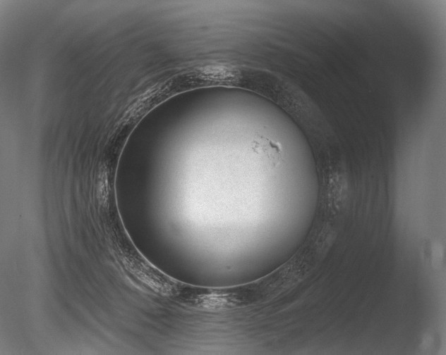 X0000086100320200703231441