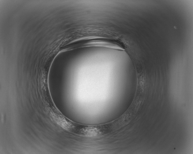 X0000086100322200703231441
