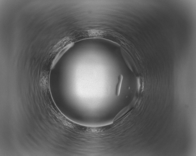 X0000086100329200703231441