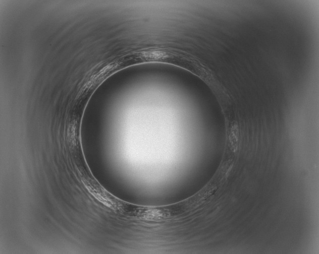 X0000086100330200703231441