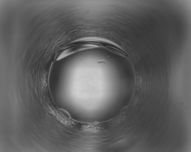 X0000086100331200703231441