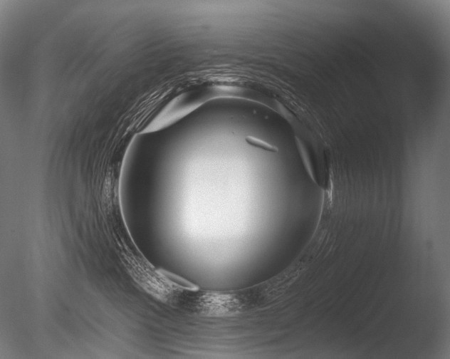 X0000086100333200703231441