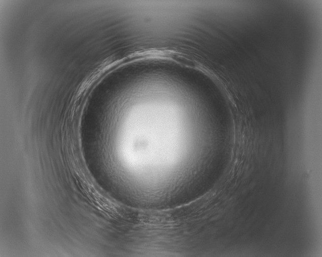 X0000086100337200703231440