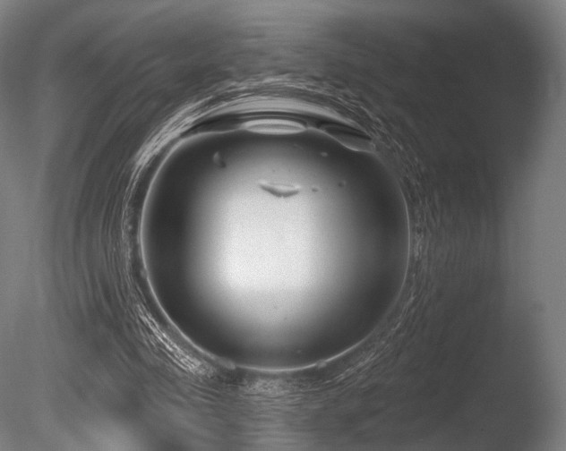 X0000086100341200703231440