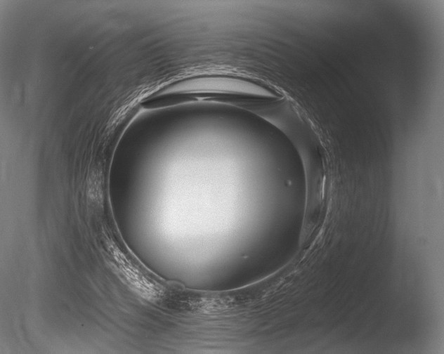 X0000086100345200703231440