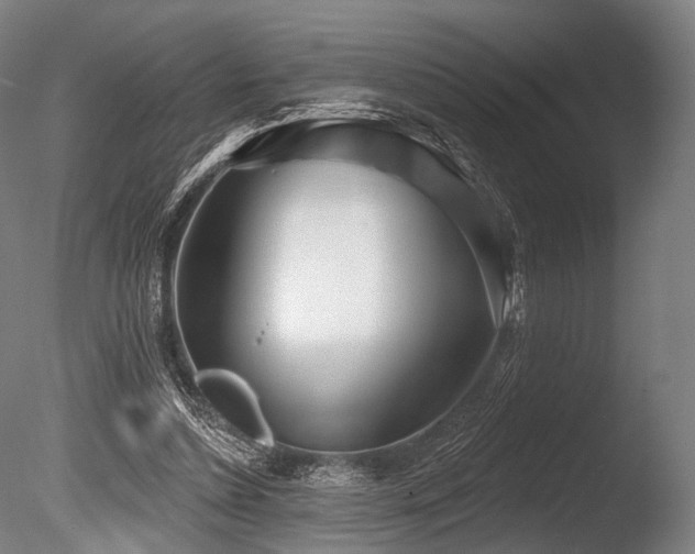 X0000086100348200703231441