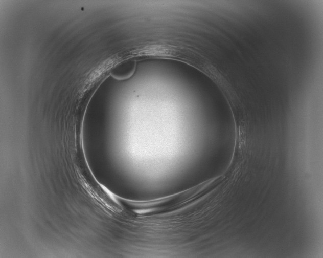X0000086100349200703231441