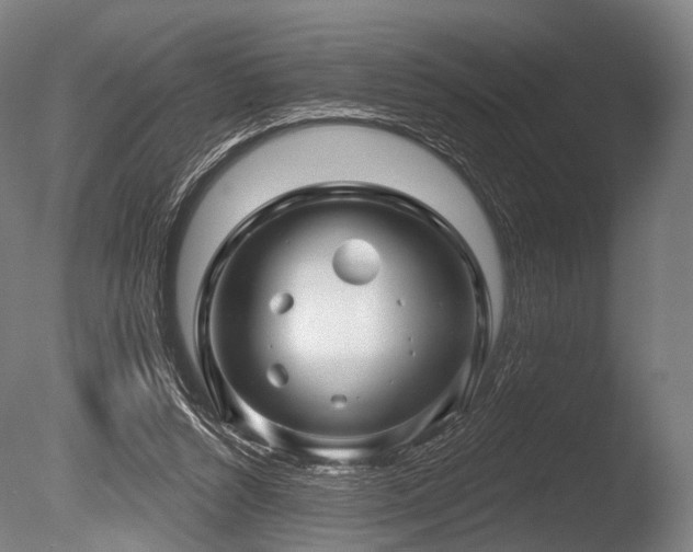 X0000086100352200703231441