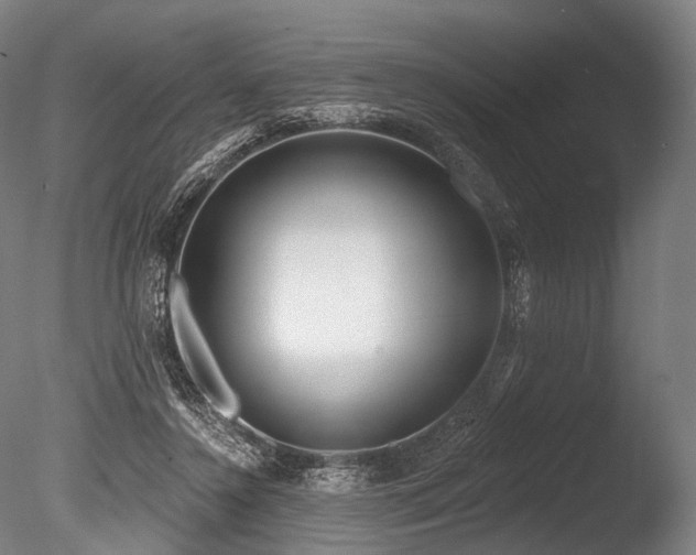 X0000086100356200703231441