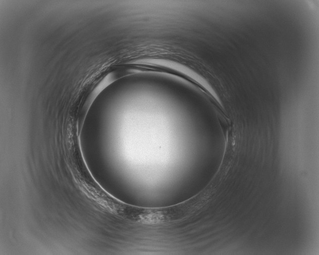 X0000086100362200703231441