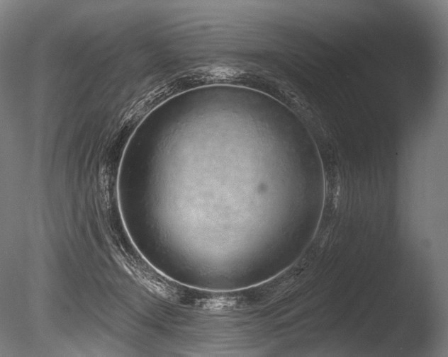 X0000086100366200703231441