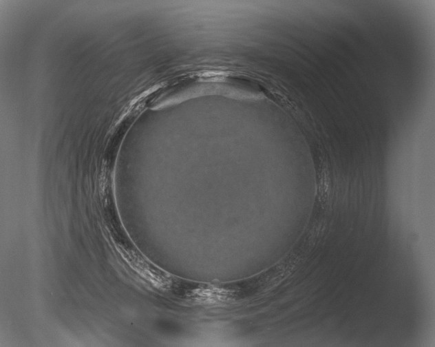 X0000086100367200703231441