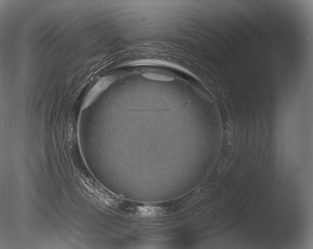 X0000086100371200703231441