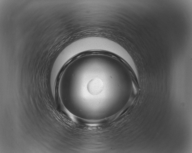 X0000086100372200703231441