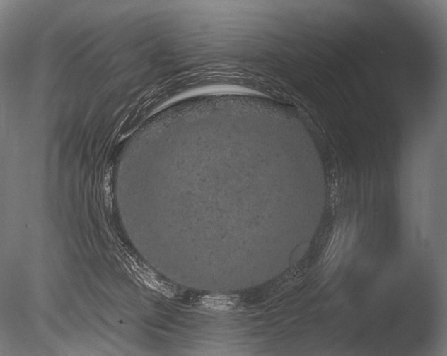 X0000086100373200703231441