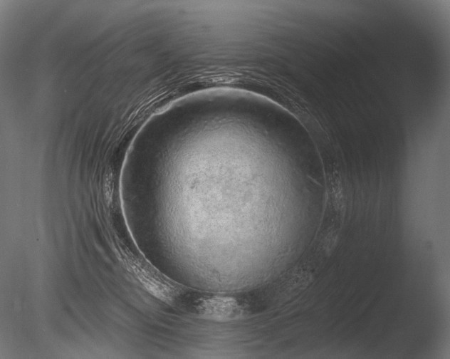 X0000086100374200703231441