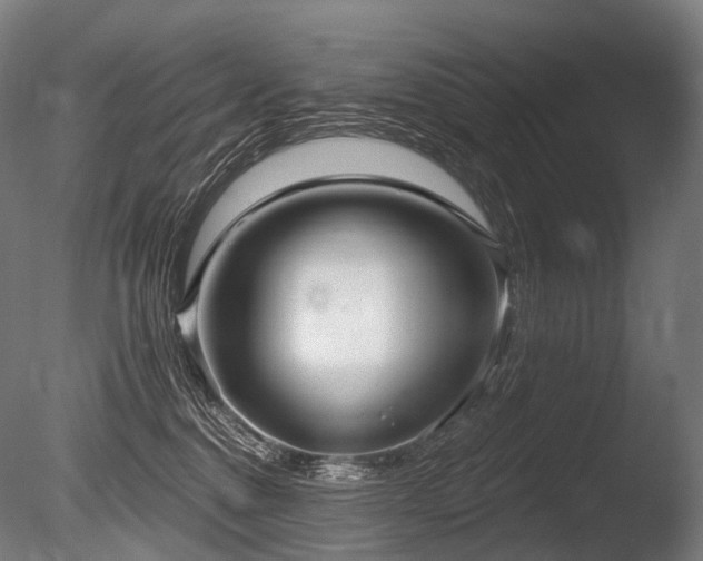X0000086100376200703231441