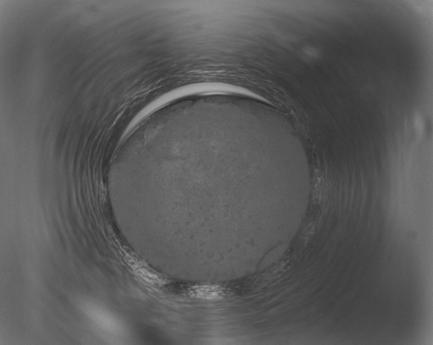 X0000086100377200703231441