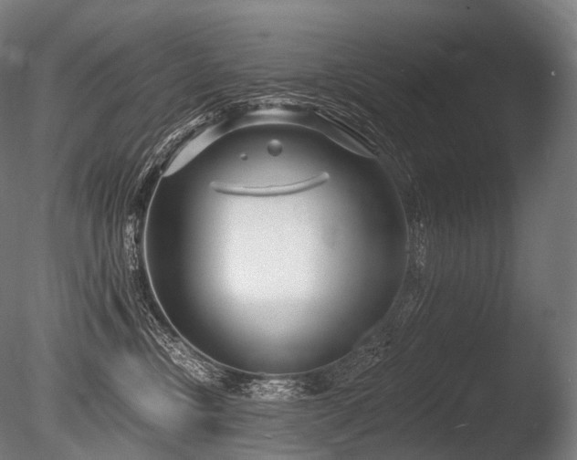 X0000086100378200703231441