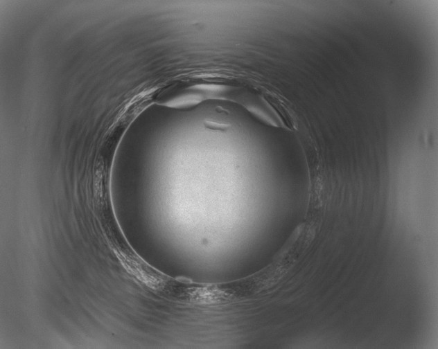 X0000086100379200703231441