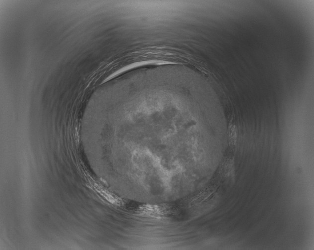 X0000086100381200703231441