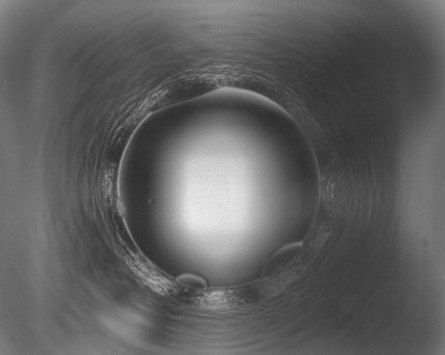 X0000086100382200703231441