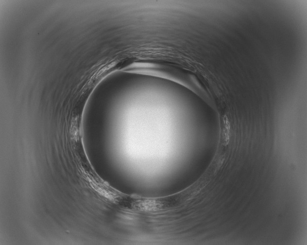 X0000086100383200703231441