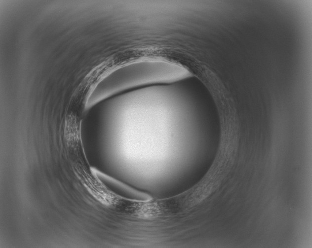 X0000086100384200703231441