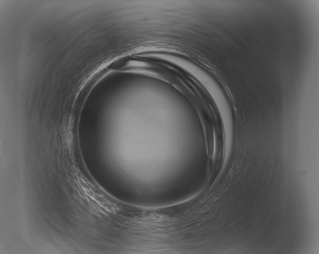 X0000086100387200703231440
