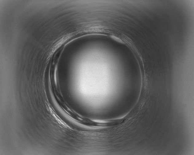X0000086100389200703231440