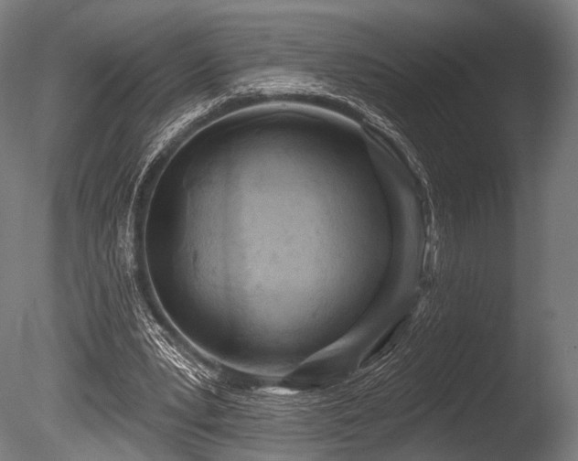 X0000086100391200703231440
